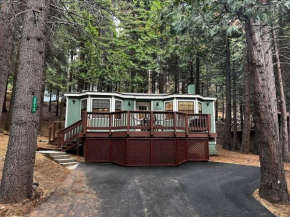 Cedar Oasis - Home Base to Big Trees